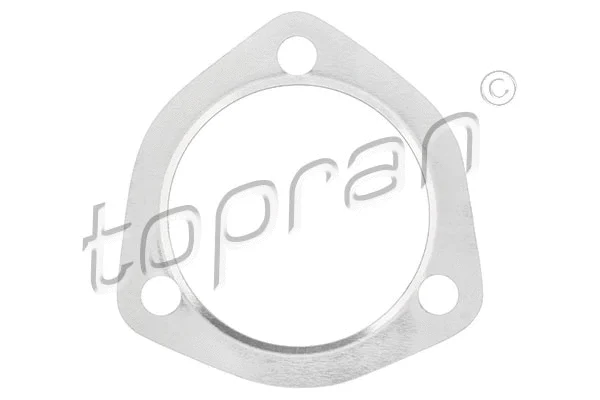 Gasket, exhaust pipe (100 187)