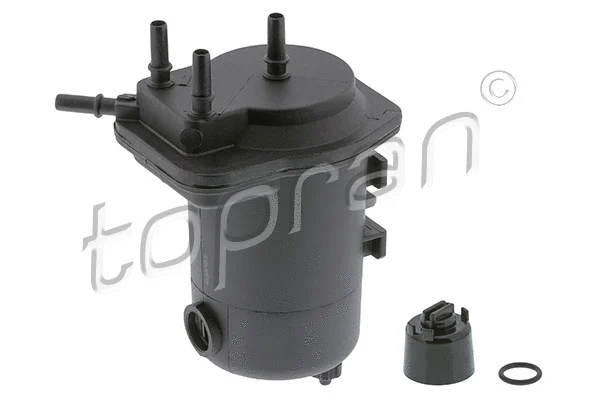 Fuel Filter (630 810)