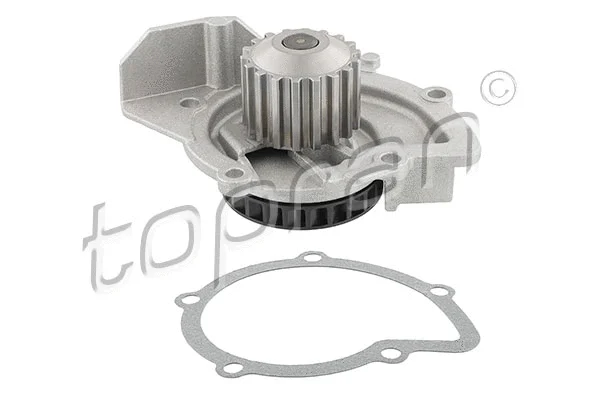 Water Pump, engine cooling (304 273)