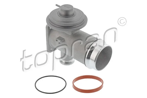 EGR Valve (639 197)