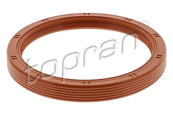 Shaft Seal, crankshaft (300 142)
