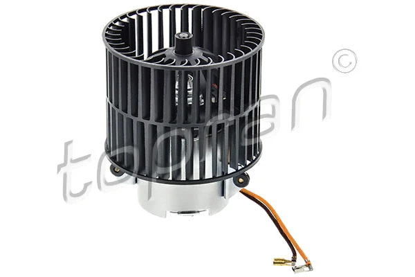 Interior Blower (207 330)