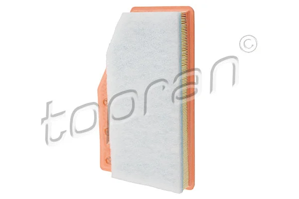 Air Filter (209 019)