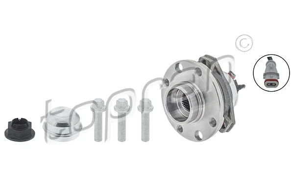 Wheel Bearing Kit (207 389)