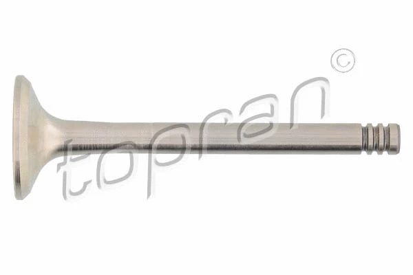 Exhaust Valve (101 573)