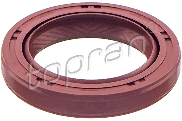 Shaft Seal, crankshaft (820 587)
