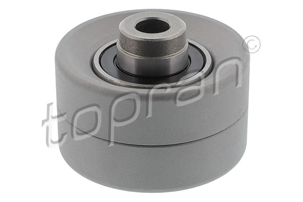 Deflection/Guide Pulley, timing belt (720 139)