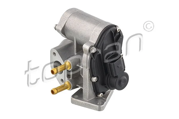 EGR Valve (115 841)
