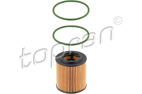 Oil Filter (206 922)