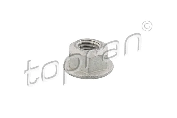 Nut (116 946)