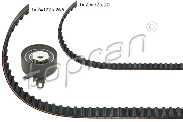 Timing Belt Kit (111 206)