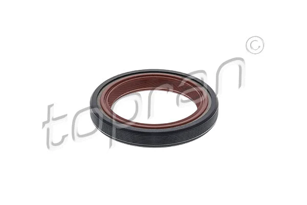 Shaft Seal, camshaft (720 104)