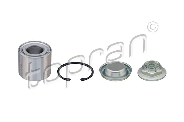 Wheel Bearing Kit (723 071)