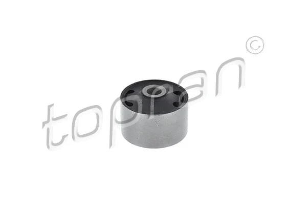 Bushing, axle beam (103 625)
