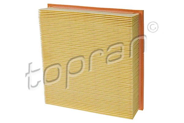 Air Filter (100 117)