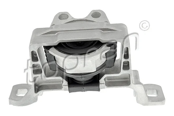Mounting, engine (304 276)