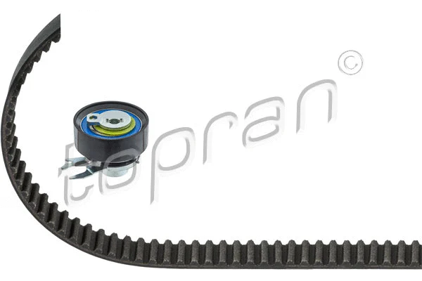 Timing Belt Kit (108 783)