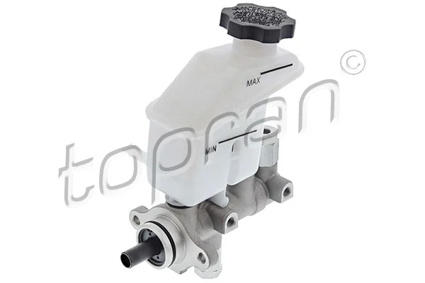 Brake Master Cylinder (821 469)