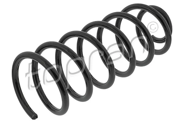 Suspension Spring (109 529)