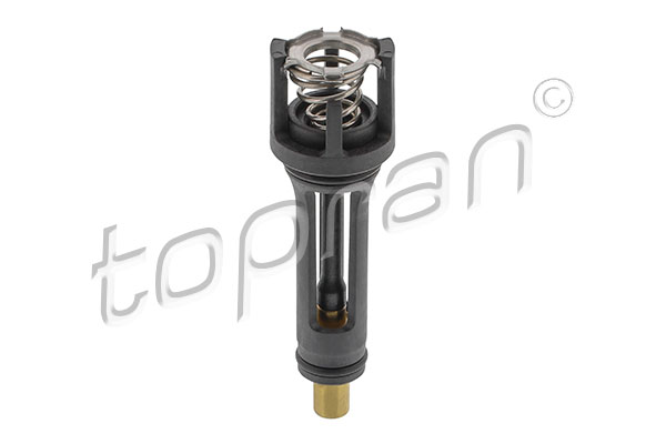 Thermostat, coolant (117 023)