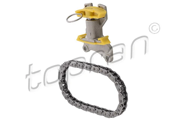 Timing Chain Kit (117 722)
