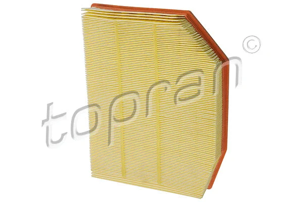 Air Filter (501 666)