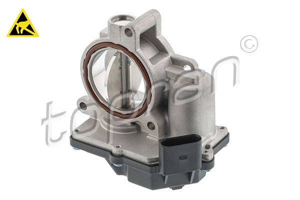 Throttle Body (120 257)