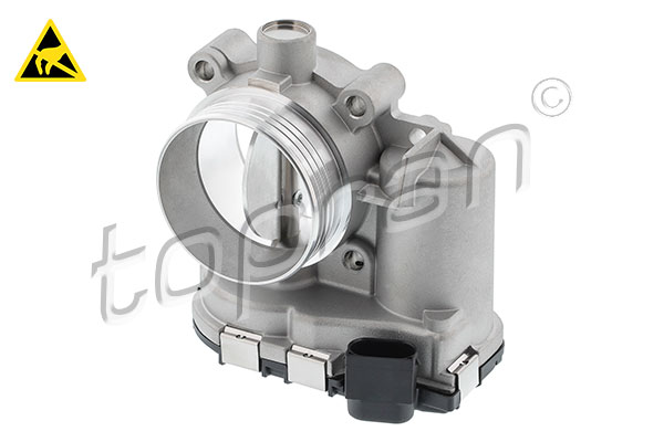 Throttle Body (601 756)