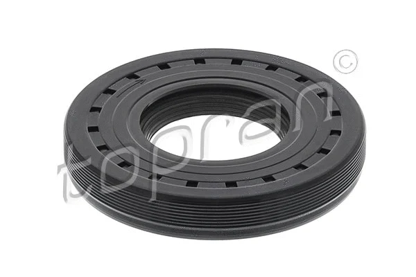 Shaft Seal, camshaft (722 529)