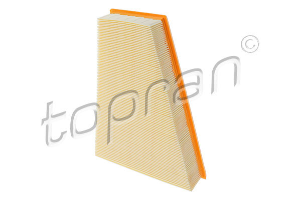 Air Filter (720 974)