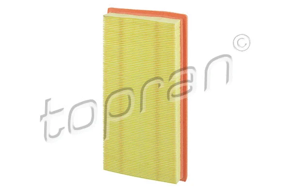 Air Filter (600 077)