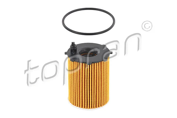 Oil Filter (600 481)