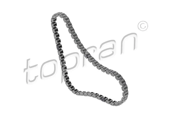 Timing Chain (117 260)