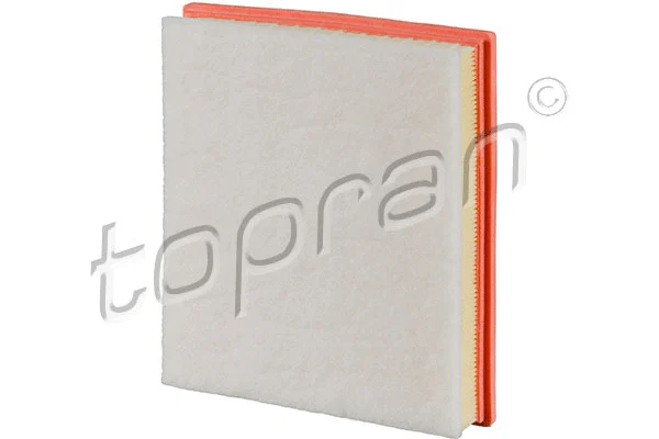 Air Filter (304 200)