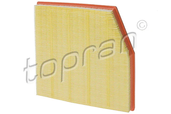 Air Filter (620 882)