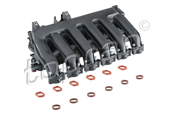 Intake Manifold Module (503 297)