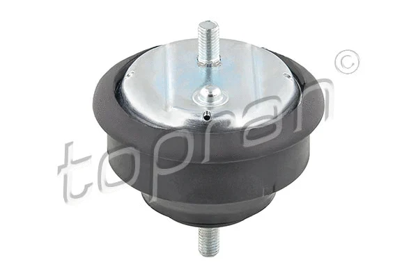 Mounting, engine (500 004)
