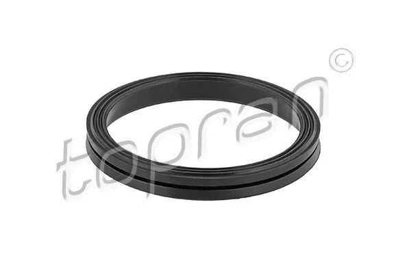 Gasket, timing case (628 304)