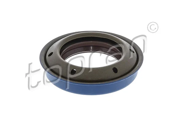 Shaft Seal, differential (200 529)