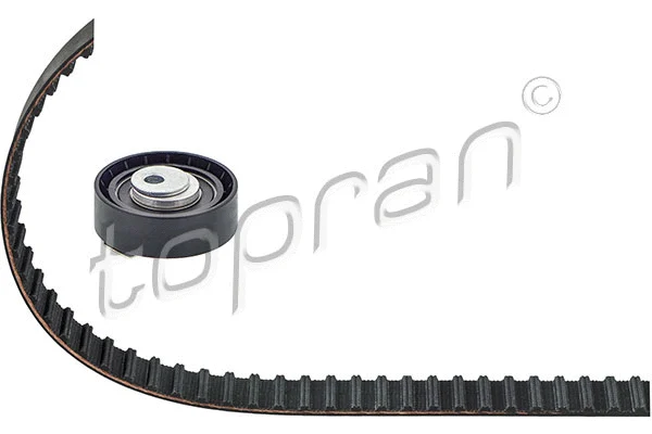 Timing Belt Kit (304 953)