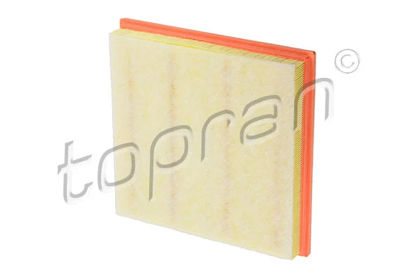 Air Filter (208 421)