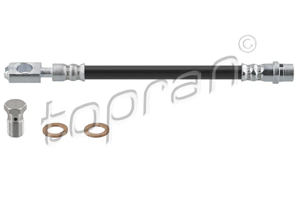 Brake Hose (110 413)