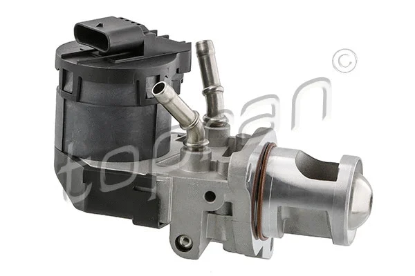 EGR Valve (639 190)