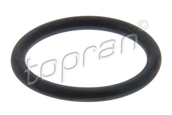 Seal Ring, oil drain plug (115 565)