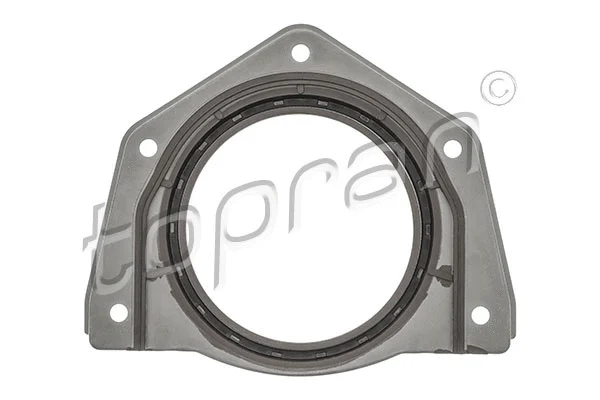 Shaft Seal, crankshaft (208 319)