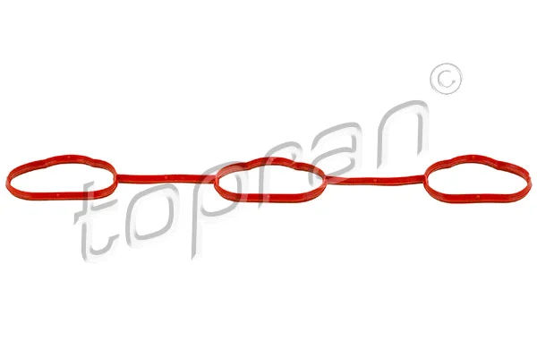 Gasket, intake manifold (206 597)