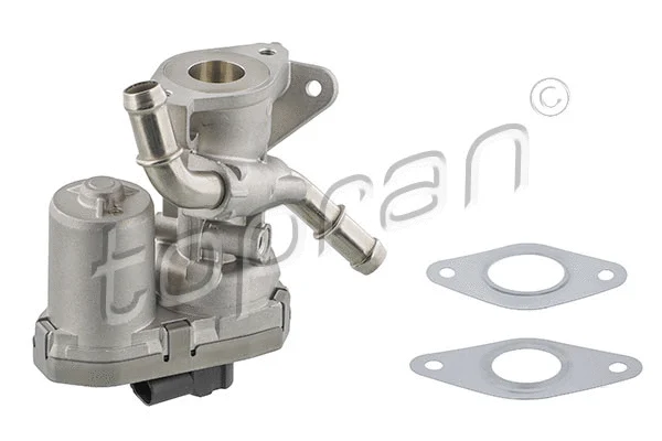 EGR Valve (304 235)