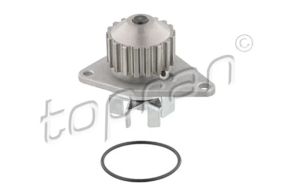 Water Pump, engine cooling (720 169)