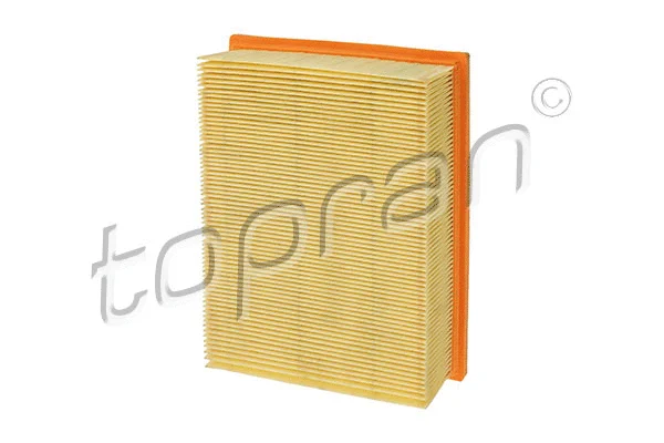 Air Filter (201 653)