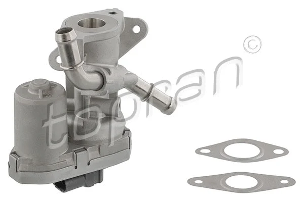 EGR Valve (639 173)